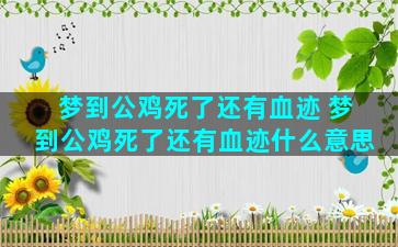 梦到公鸡死了还有血迹 梦到公鸡死了还有血迹什么意思